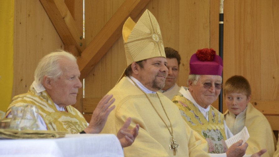 Weihbischof Wolfgang Bischof beim Patronatstag 2013